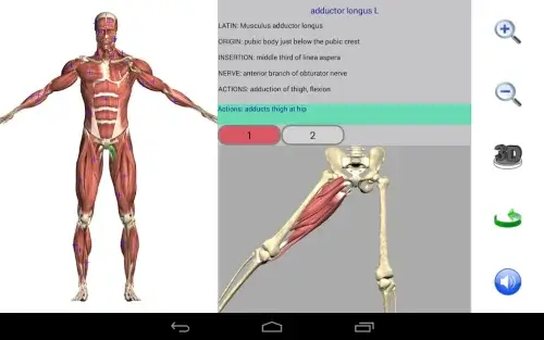 Visual Anatomy 2-screenshot-4